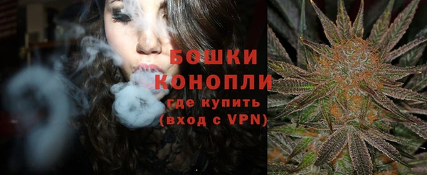 гидра Горно-Алтайск