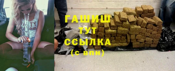 гидра Горно-Алтайск